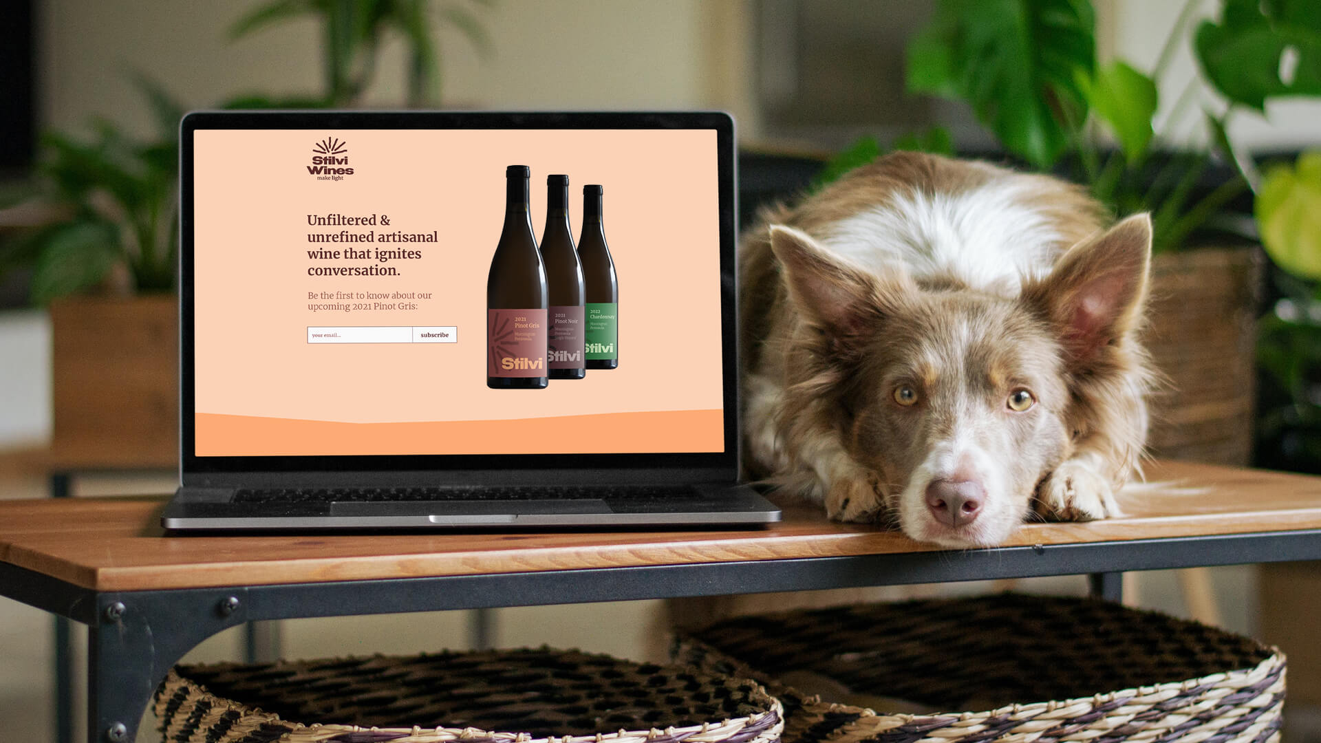 Stilvi-Wines-Brand-Identity-Design-11-Website-Design